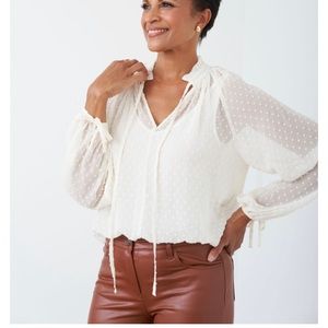 Chiffon Clip Dot Blouse from Cleo’s